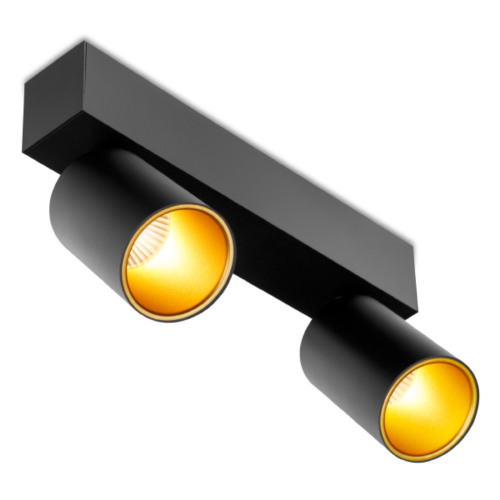 SPY 2 11.30 BG