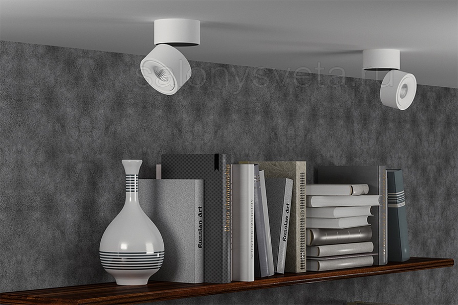 FOCUS 8.30 W DIM