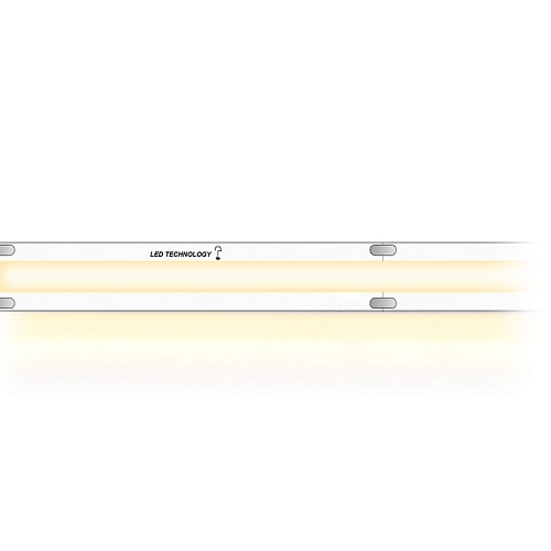 COB ECO 10.30