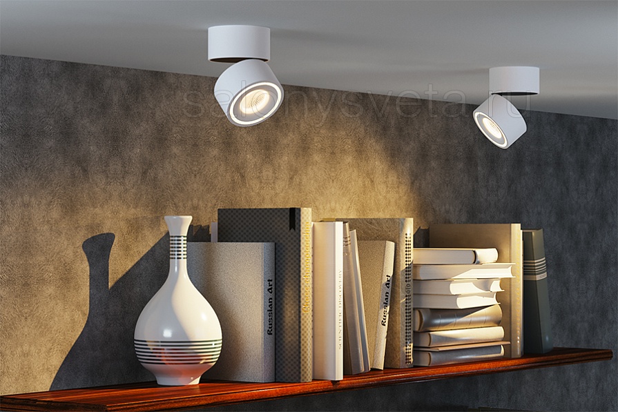 FOCUS 8.30 W DIM