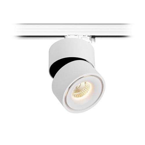 TR FOCUS 13.30 W DIM