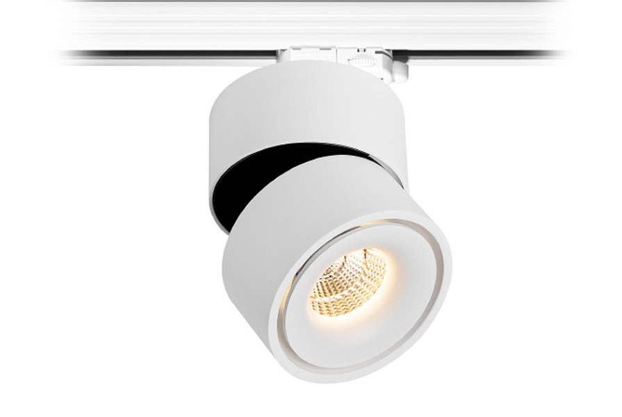 TR FOCUS 13.30 W DIM