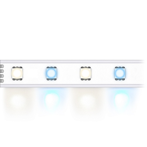 MULTICOLOR 60 DW IP67