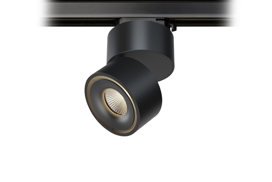 TR FOCUS 8.30 B