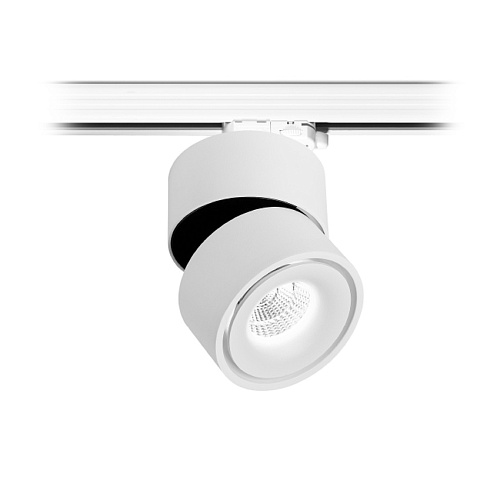 TR FOCUS 13.40 W DIM