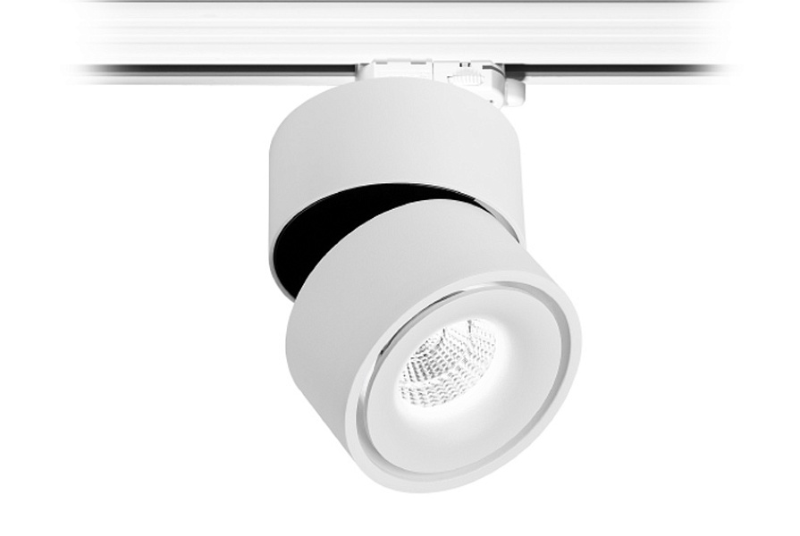 TR FOCUS 13.40 W DIM
