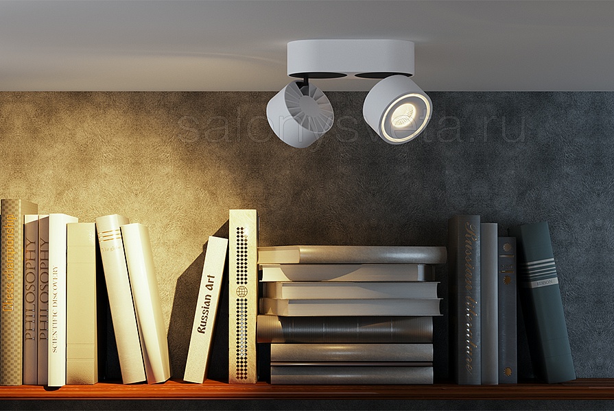 FOCUS 2 8.30 W DIM