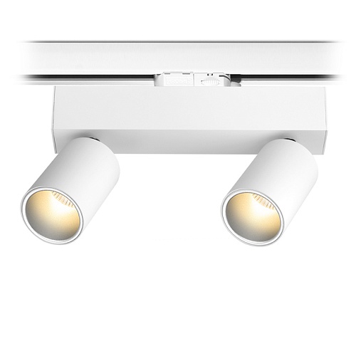 TR SPY 2 11.30 WS