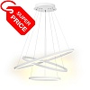 RING 110