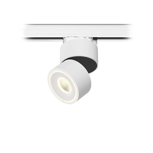 TR FOCUS 8.30 W