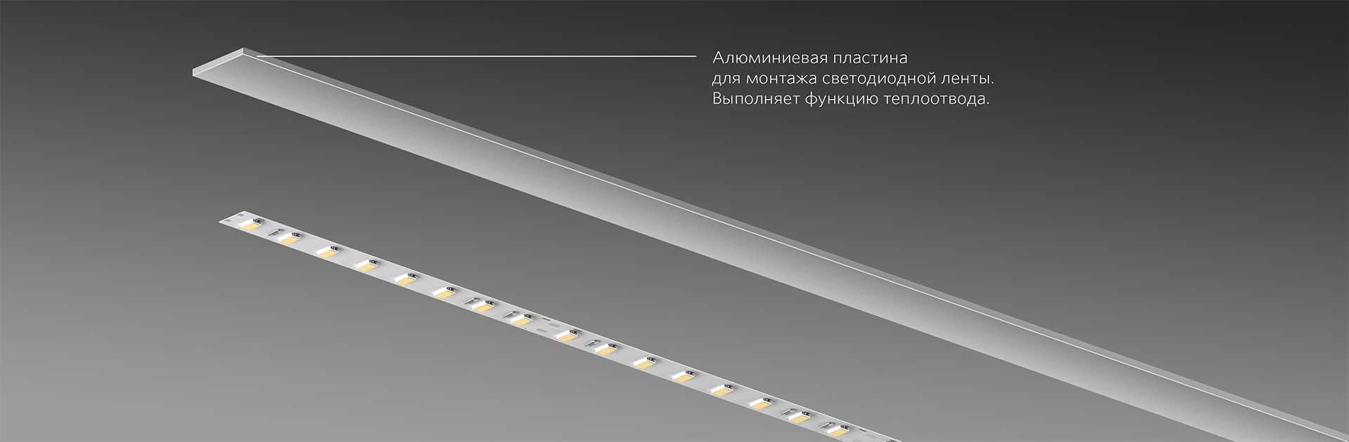 LINEAR 20 N